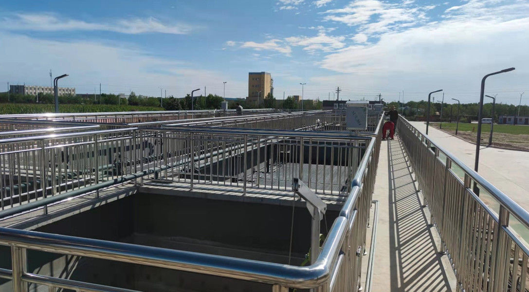 Shaanxi Shanqing Environmental Technology Co., Ltd. 제조업체의 생산 라인